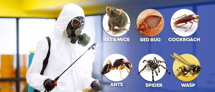 General Pest Control Cockroach and Ant Treatment