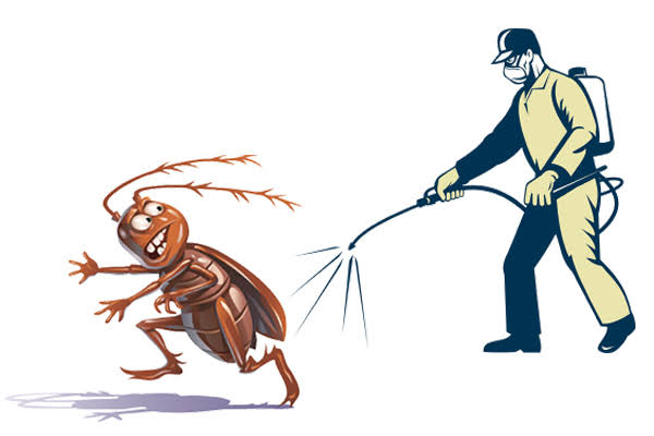 General Pest Control Cockroach and Ant Treatment image 2