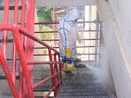 Mosquito Control Dengue and Malaria Spray Service image 2