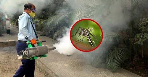 Mosquito Control Dengue and Malaria Spray Service