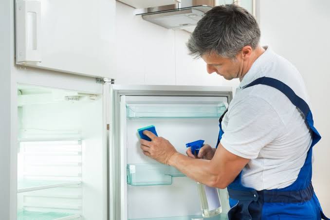 Refrigerator Deep Clean and Condenser Service
